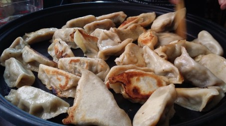 Dumplings10