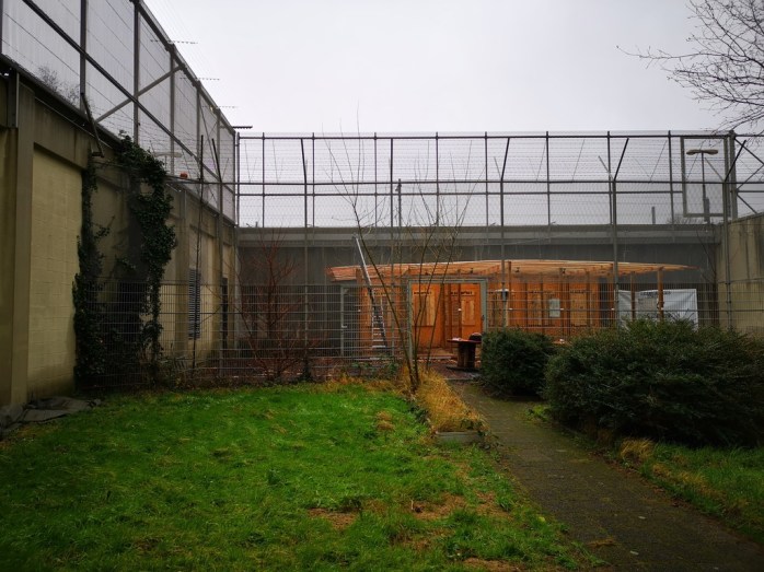 Axe Throwing Axe Effect